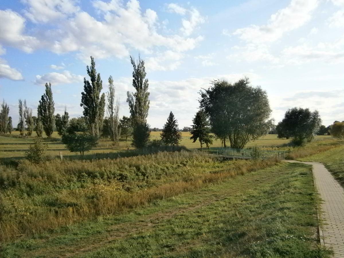 Alles Paletti Mit Klimaanlage Apartment Wittenberg ภายนอก รูปภาพ